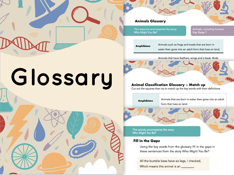 Animals Glossary
