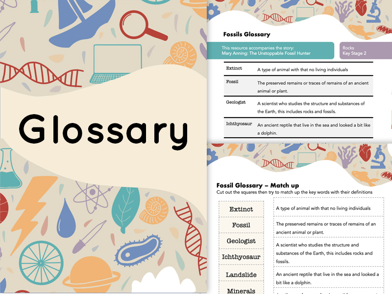 Fossils Glossary Resource