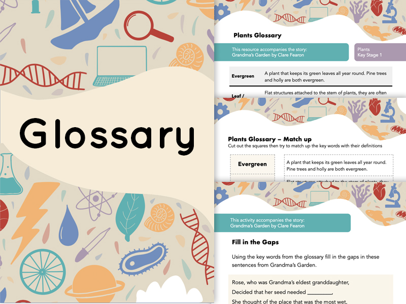 Plants Glossary