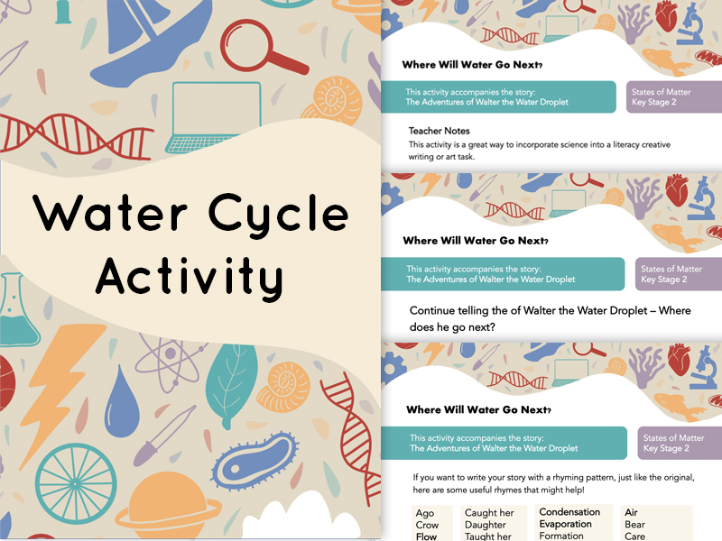 Water Cycle Activity